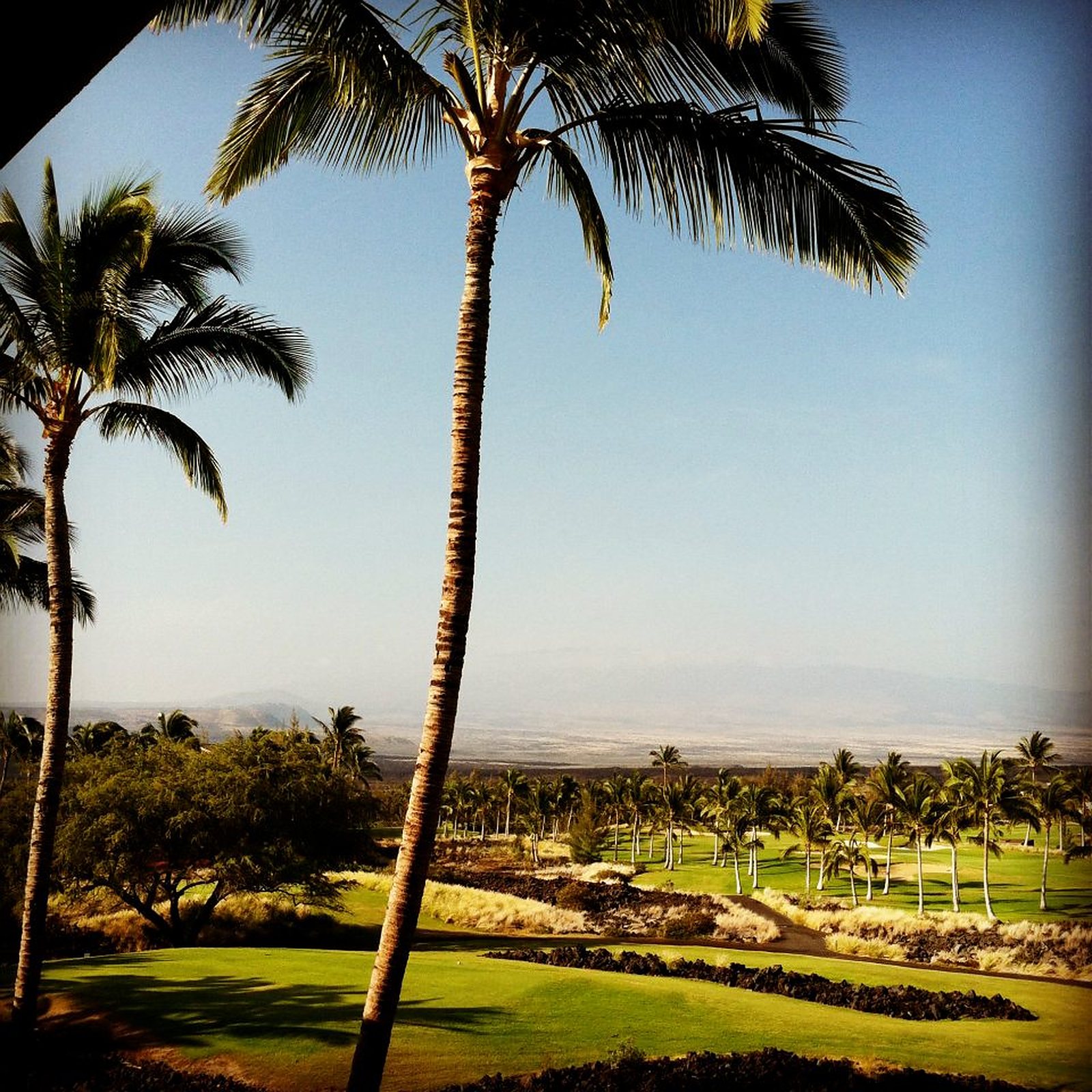 The Big Island ... and still growing