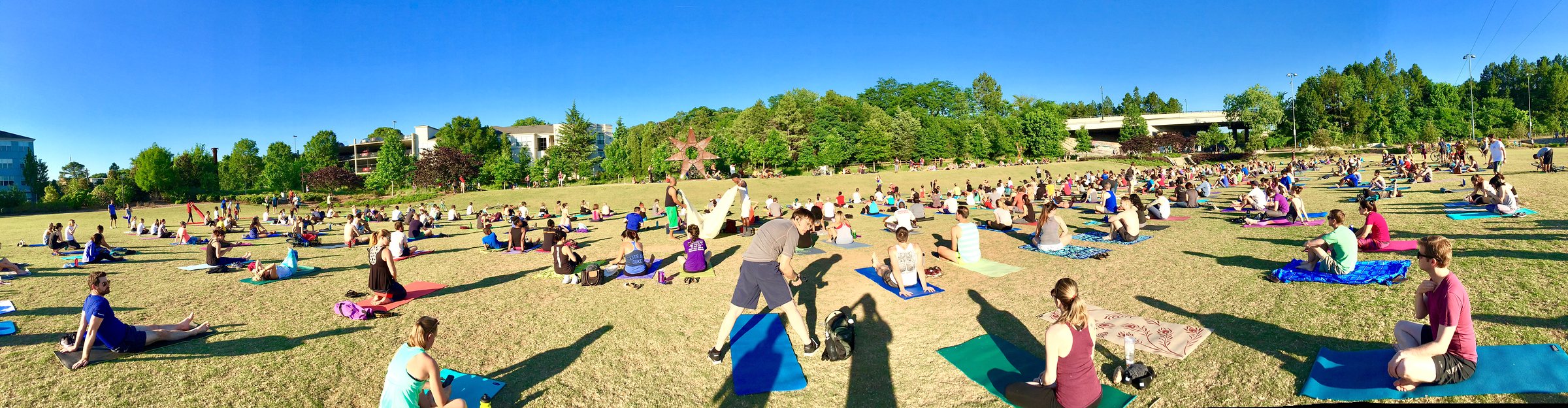 Executing on Intentions with Yoga in the Park