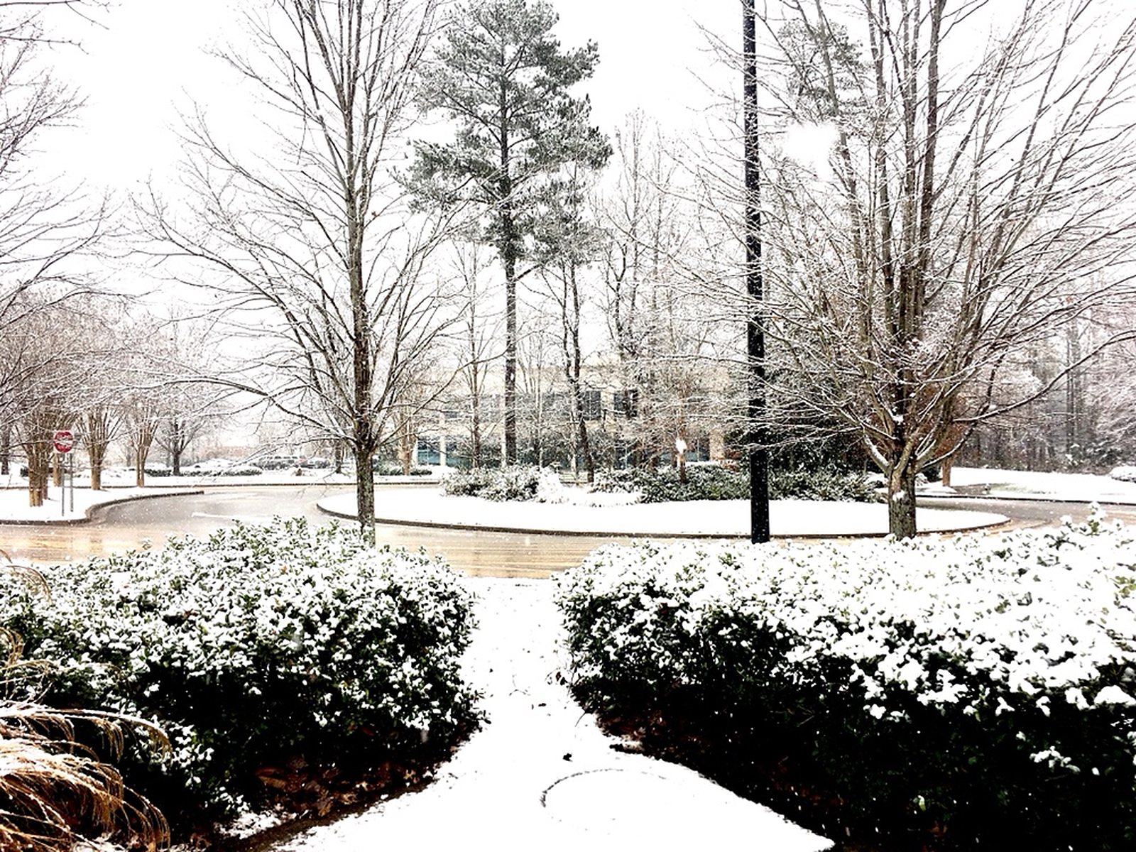 How to Warm Up in a Winter Storm with Hot Cocoa, photo 2