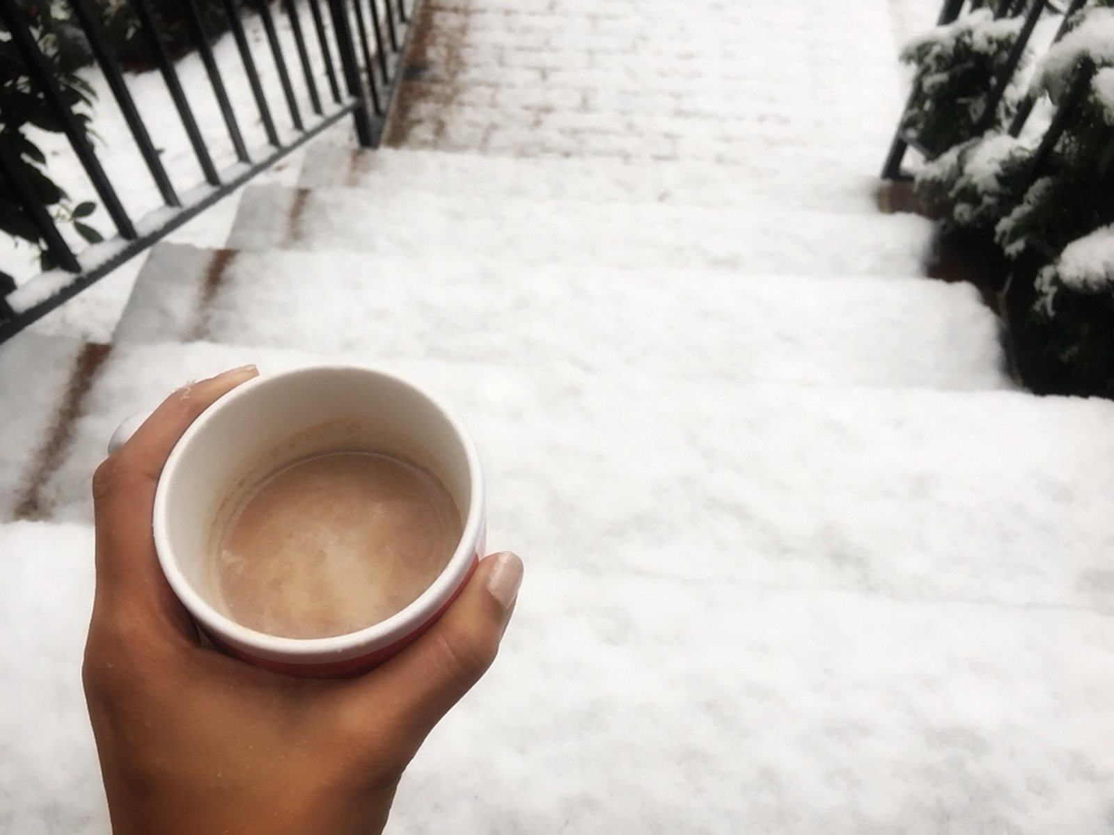 How to Warm Up in a Winter Storm with Hot Cocoa, photo 1