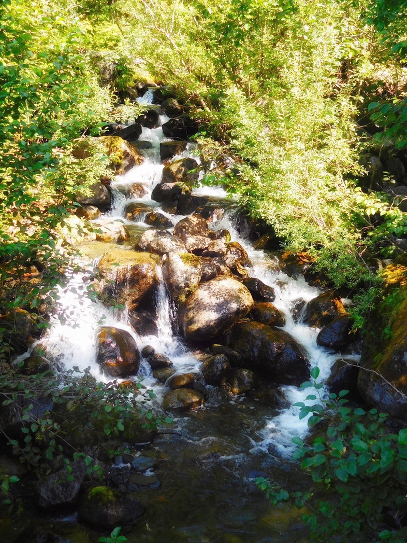 A Beginner's Guide to Alaska: America's Last Frontier, photo 9
