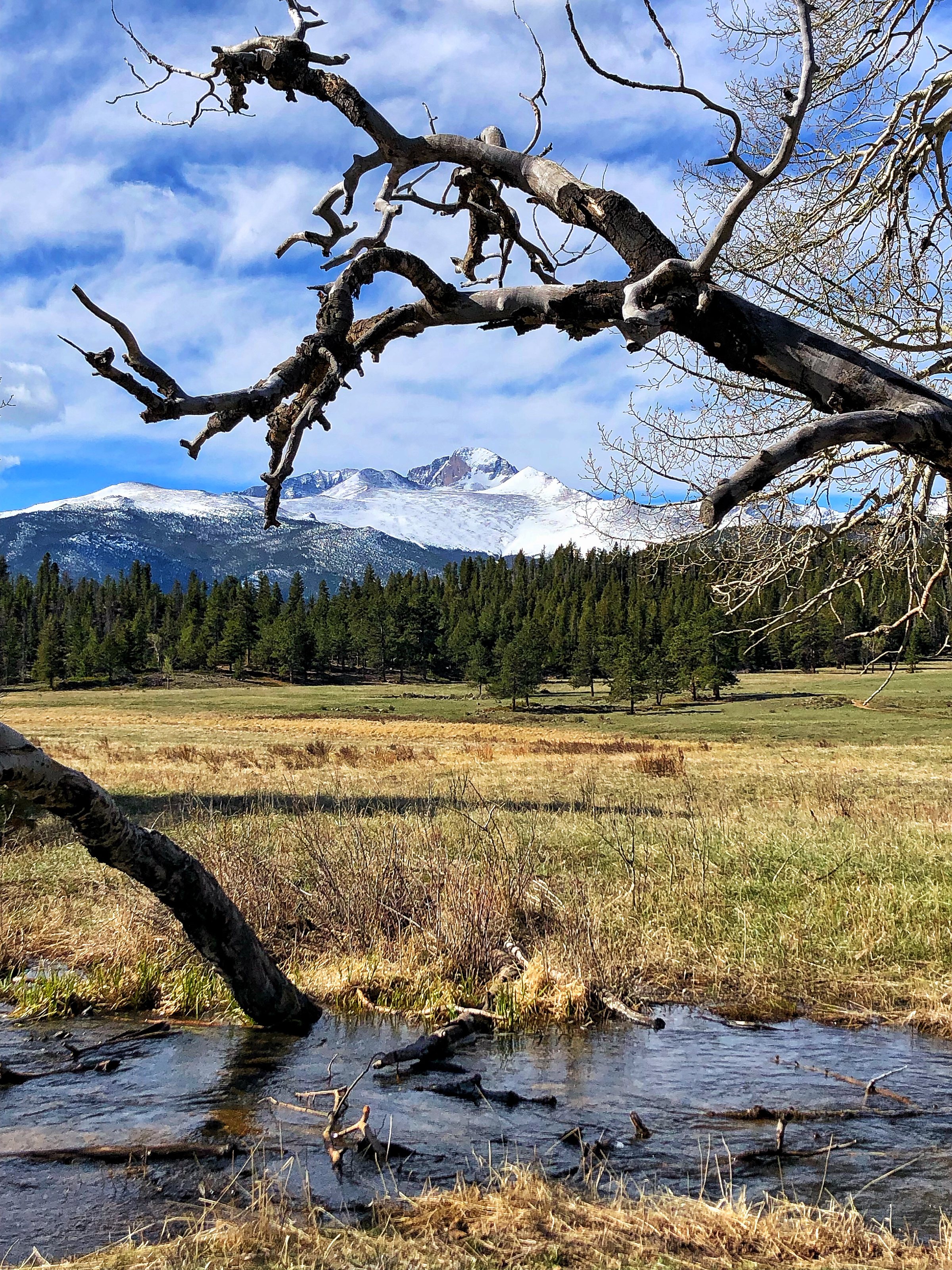Off-Peak: Why Visiting RMNP in Slow Season is Still Worth It
