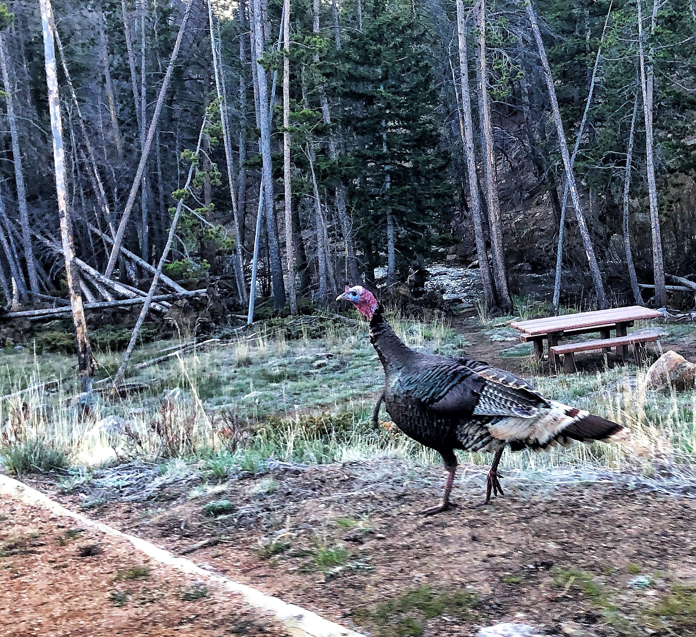 Off-Peak: Why Visiting RMNP in Slow Season is Still Worth It, photo 9