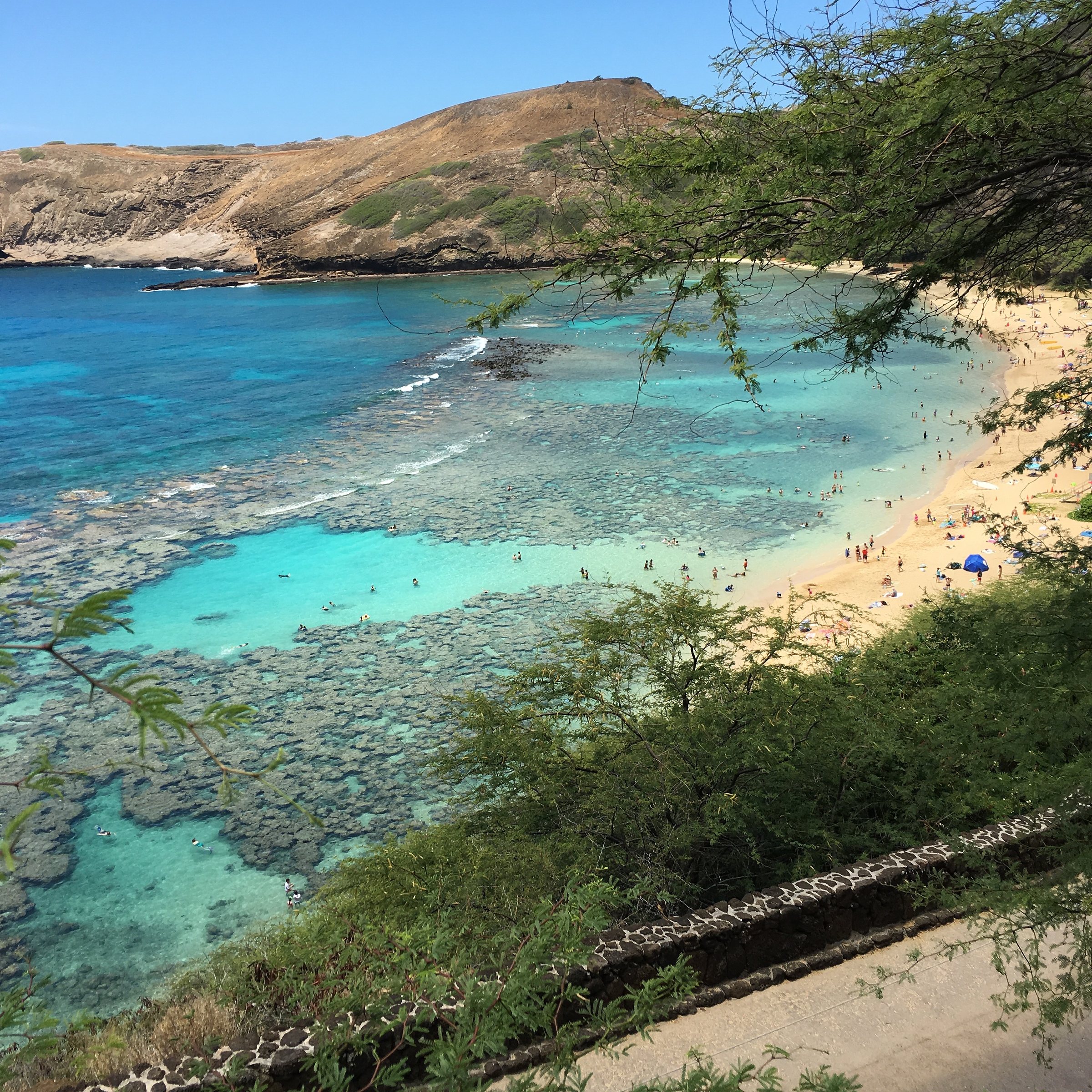Hanauma Bay 2