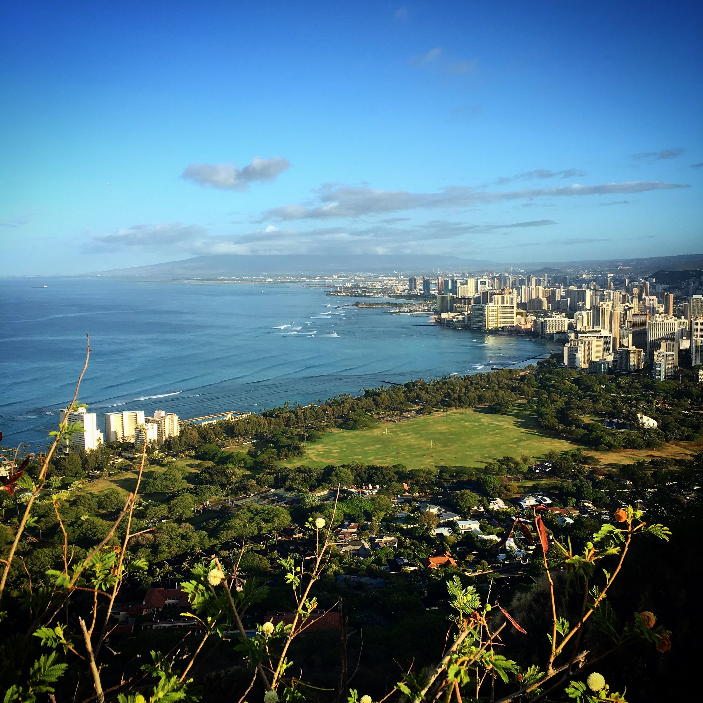 Waikiki from Diamond Head 2