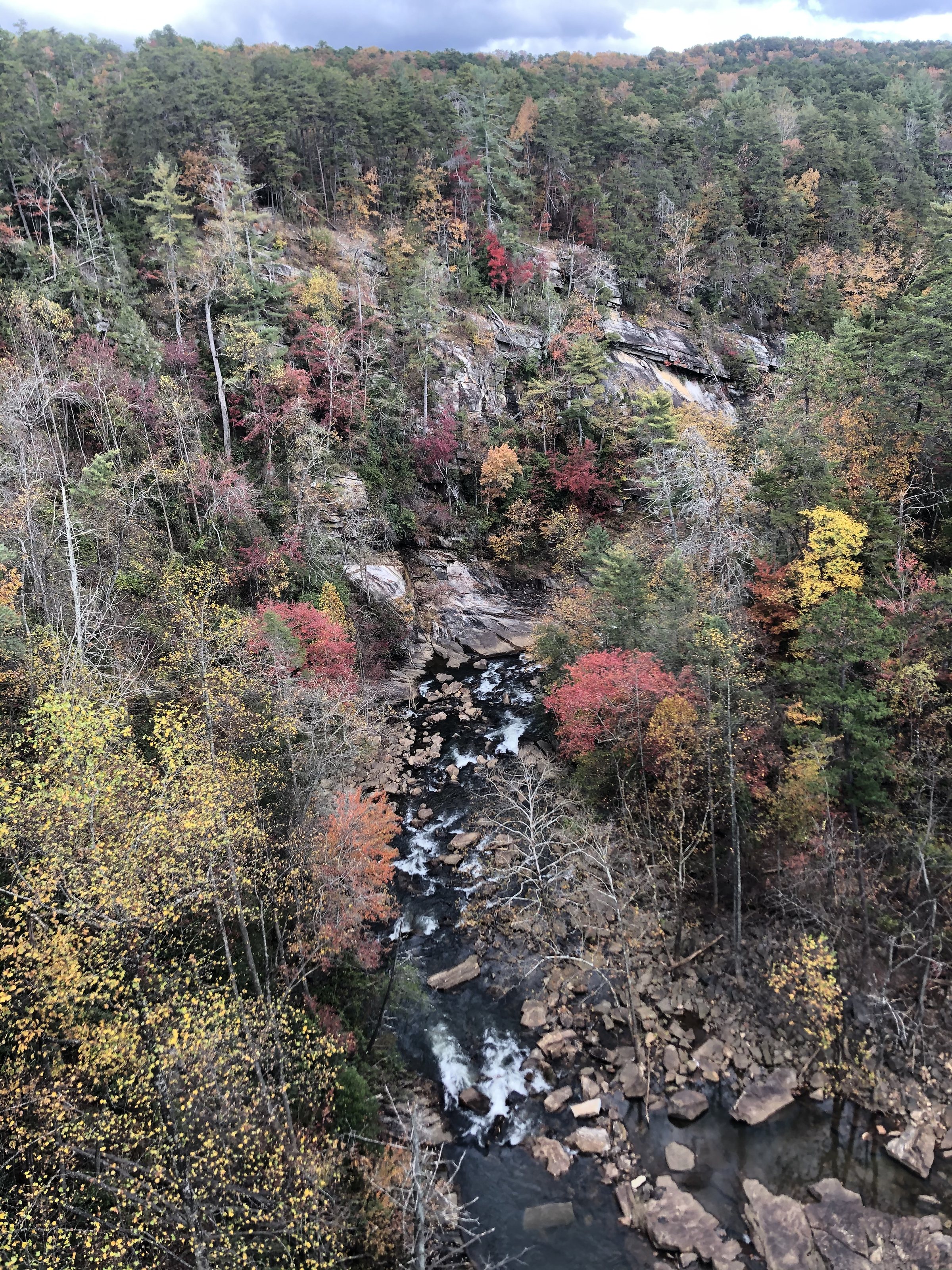 Ultimate Guide to Day Trips & Weekend Getaways from Atlanta - For Every Season, photo 13