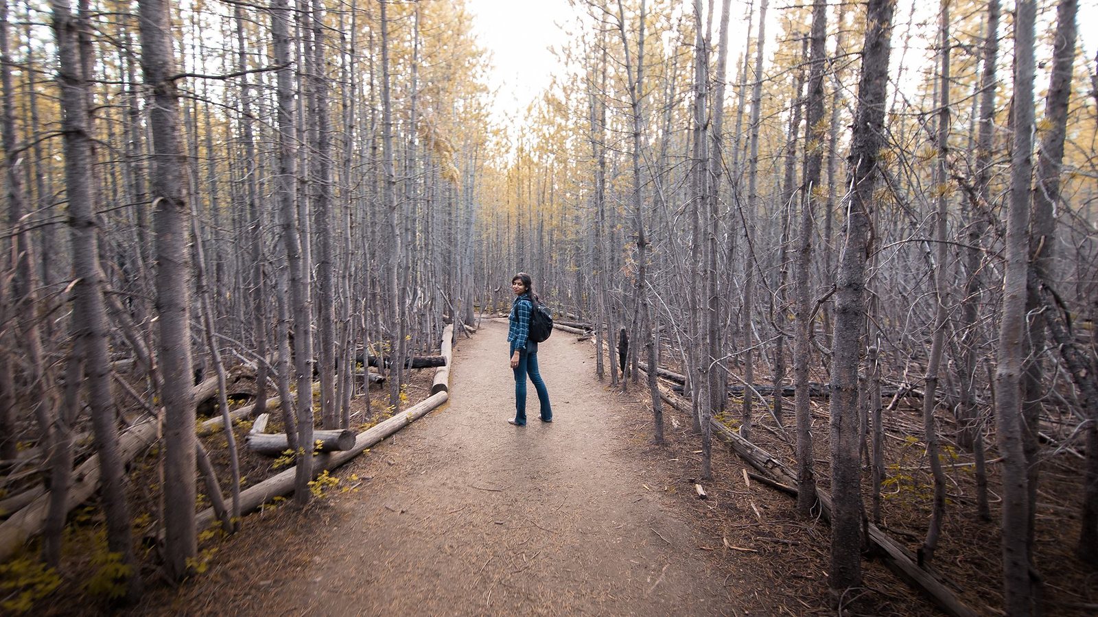 Socially Distant: Why I Left Social Media When We Needed It Most
