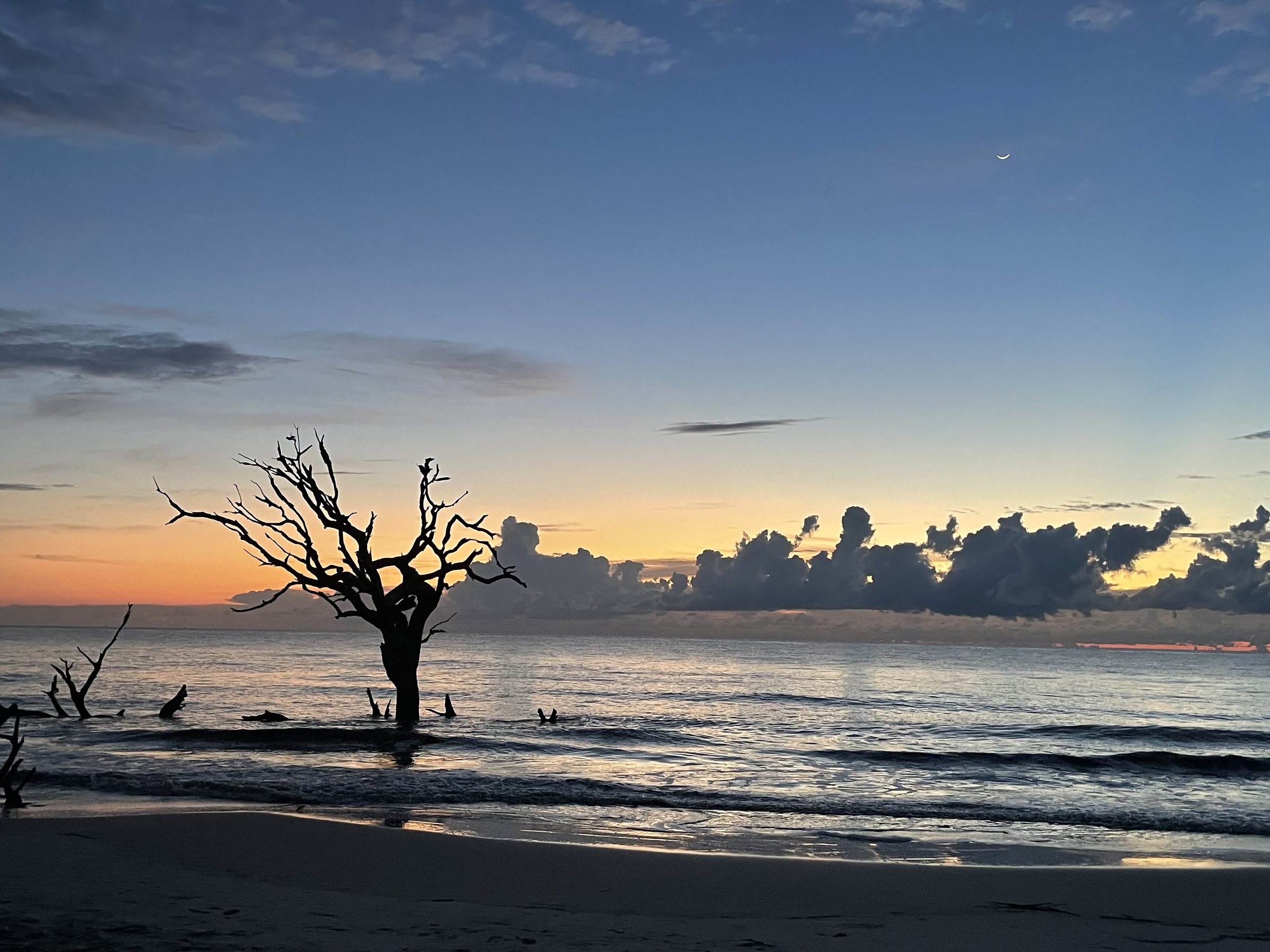 Sunrise at Driftwood Beach