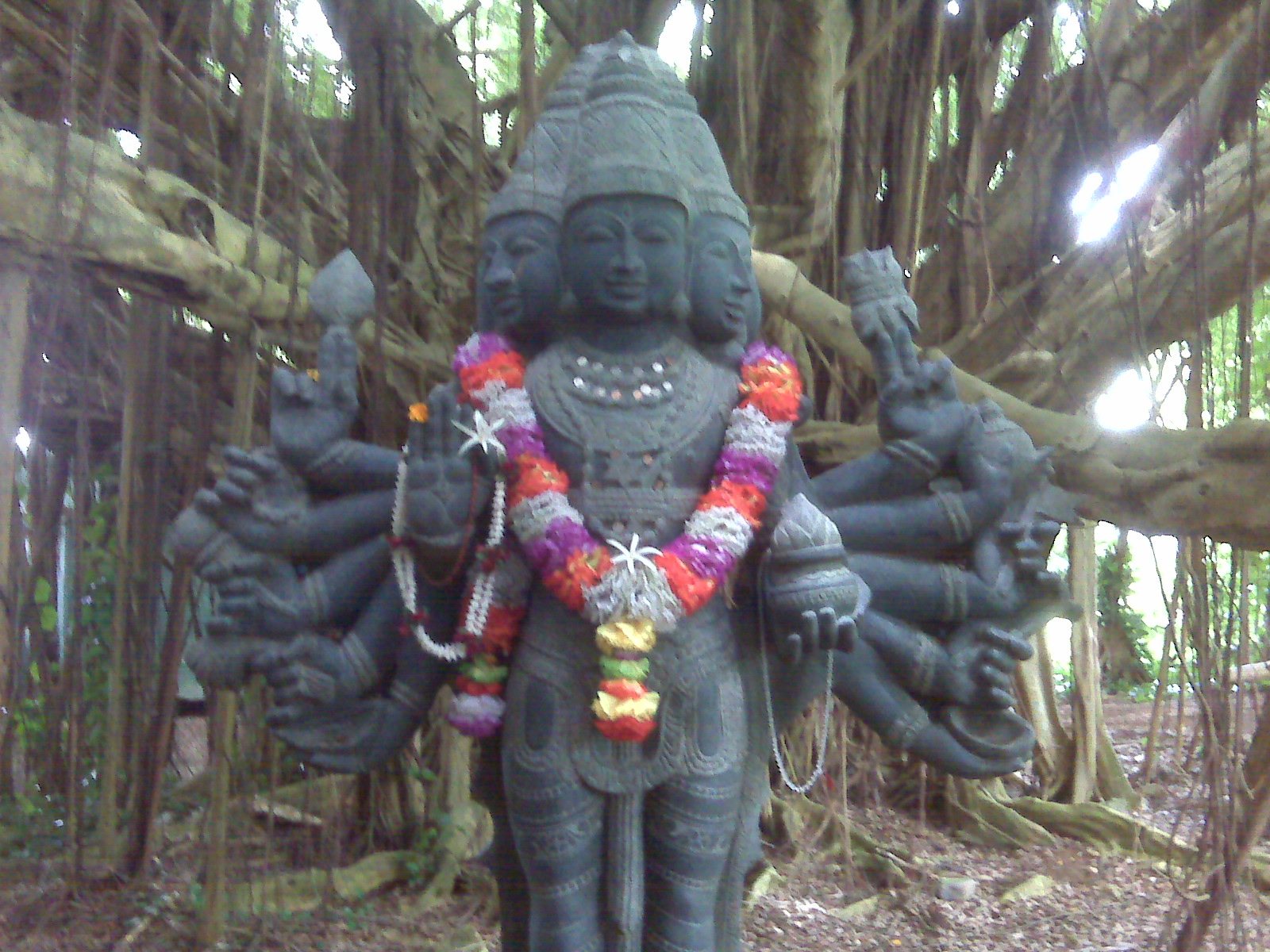 IMG00276
