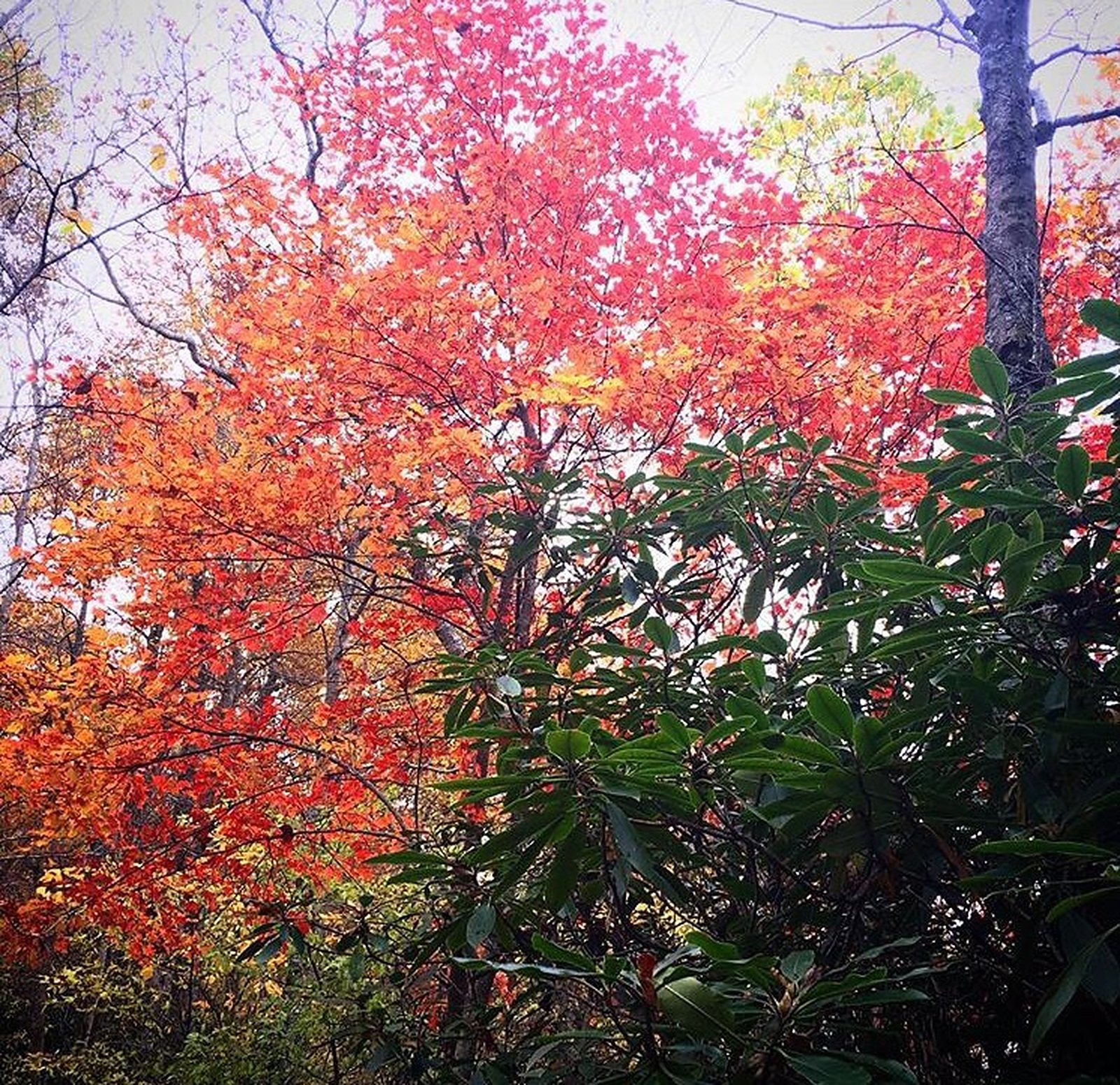 Ultimate Guide to Day Trips & Weekend Getaways from Atlanta - For Every Season, photo 16
