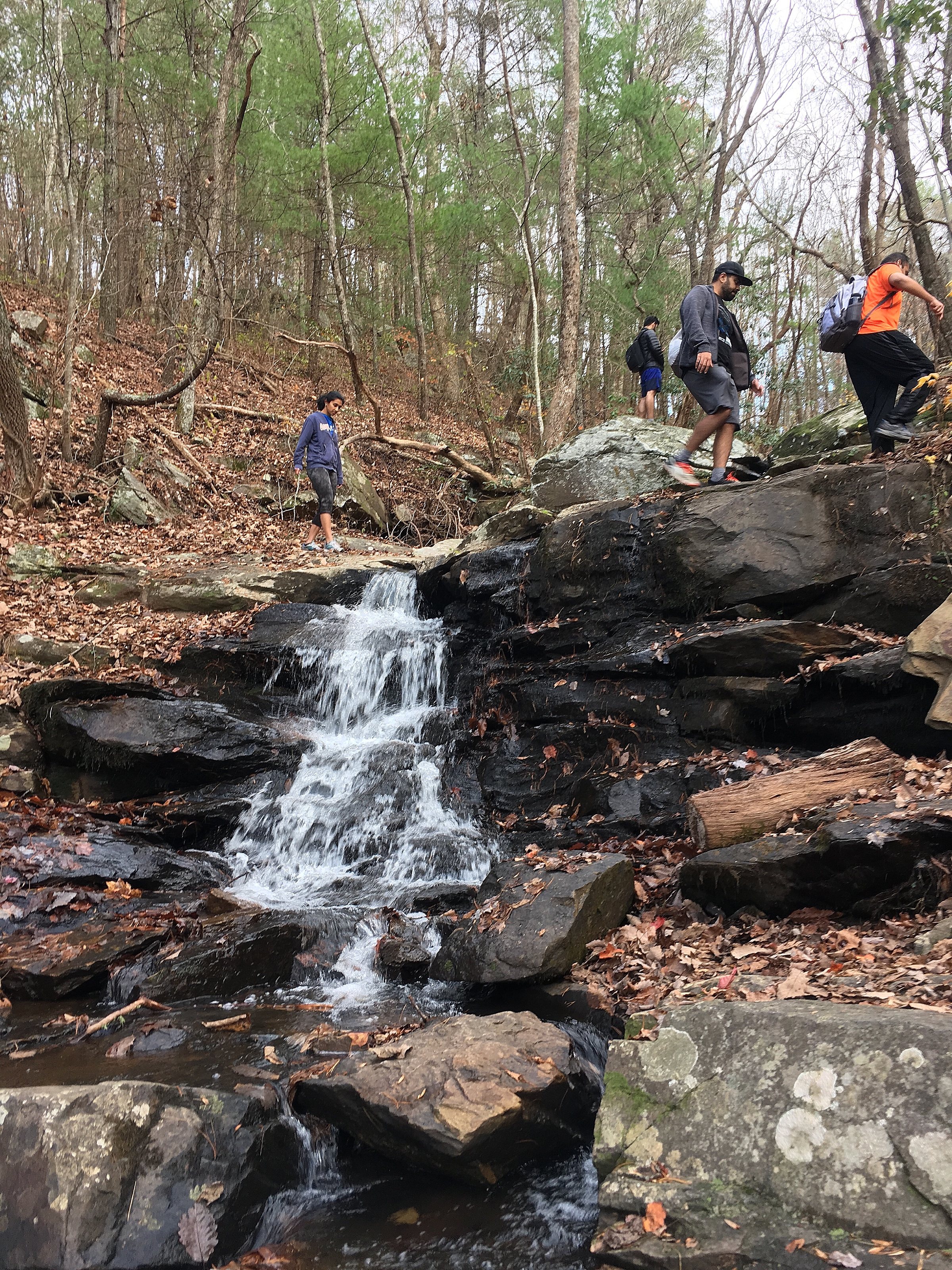 Fort Mountain: Discover Georgia's Best Fall Colors Destination, photo 6