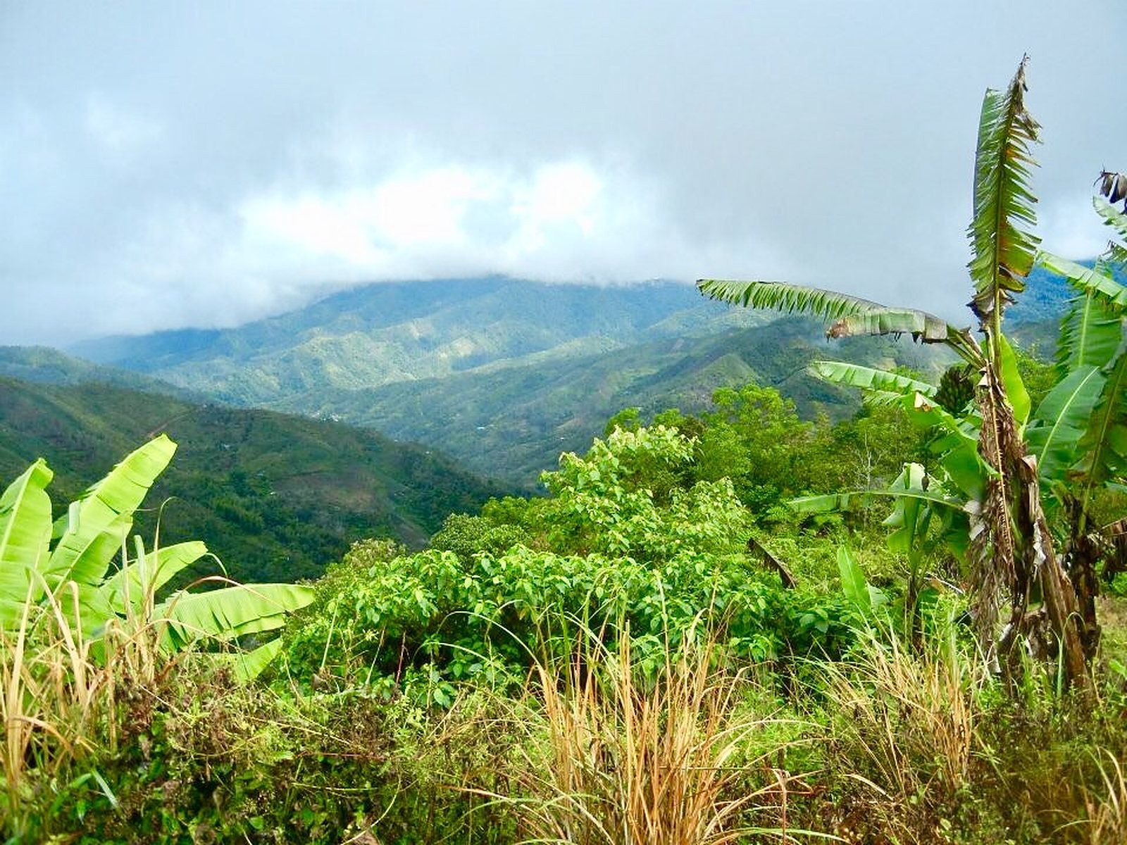 Discover Sabah: Malaysia's Road Less Traveled, photo 1