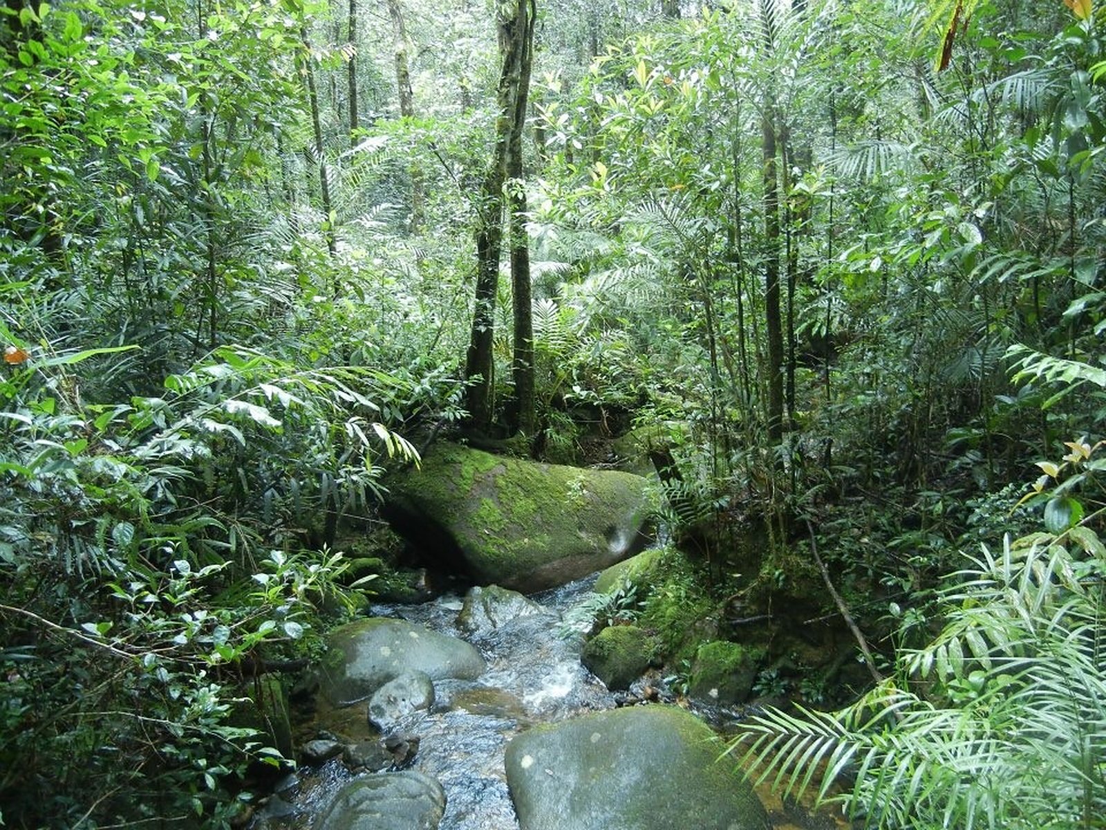 Discover Sabah: Malaysia's Road Less Traveled, photo 12