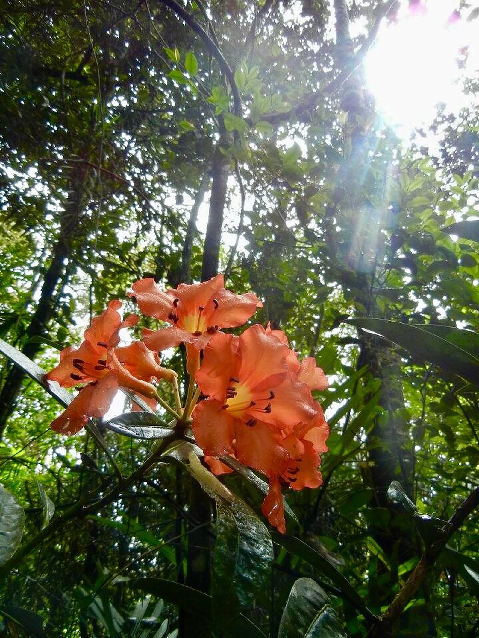 Discover Sabah: Malaysia's Road Less Traveled, photo 11