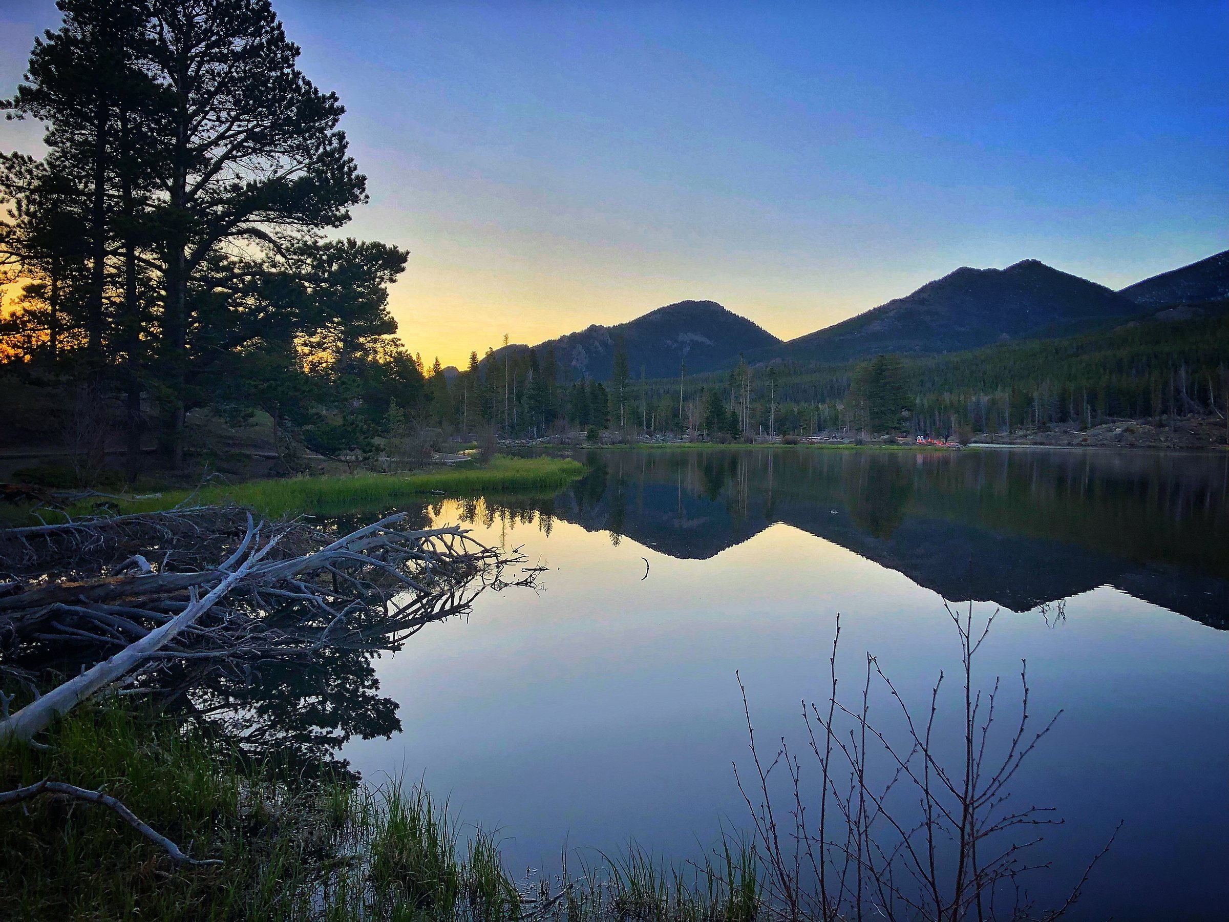 Sprague Lake, Rocky Mountain National Park lakes, what to do in RMNP, off season in Rocky Mountain, short trails in Rocky Mountain National Park, easy trails in Rocky Mountain national Park, where to see moose in RMNP