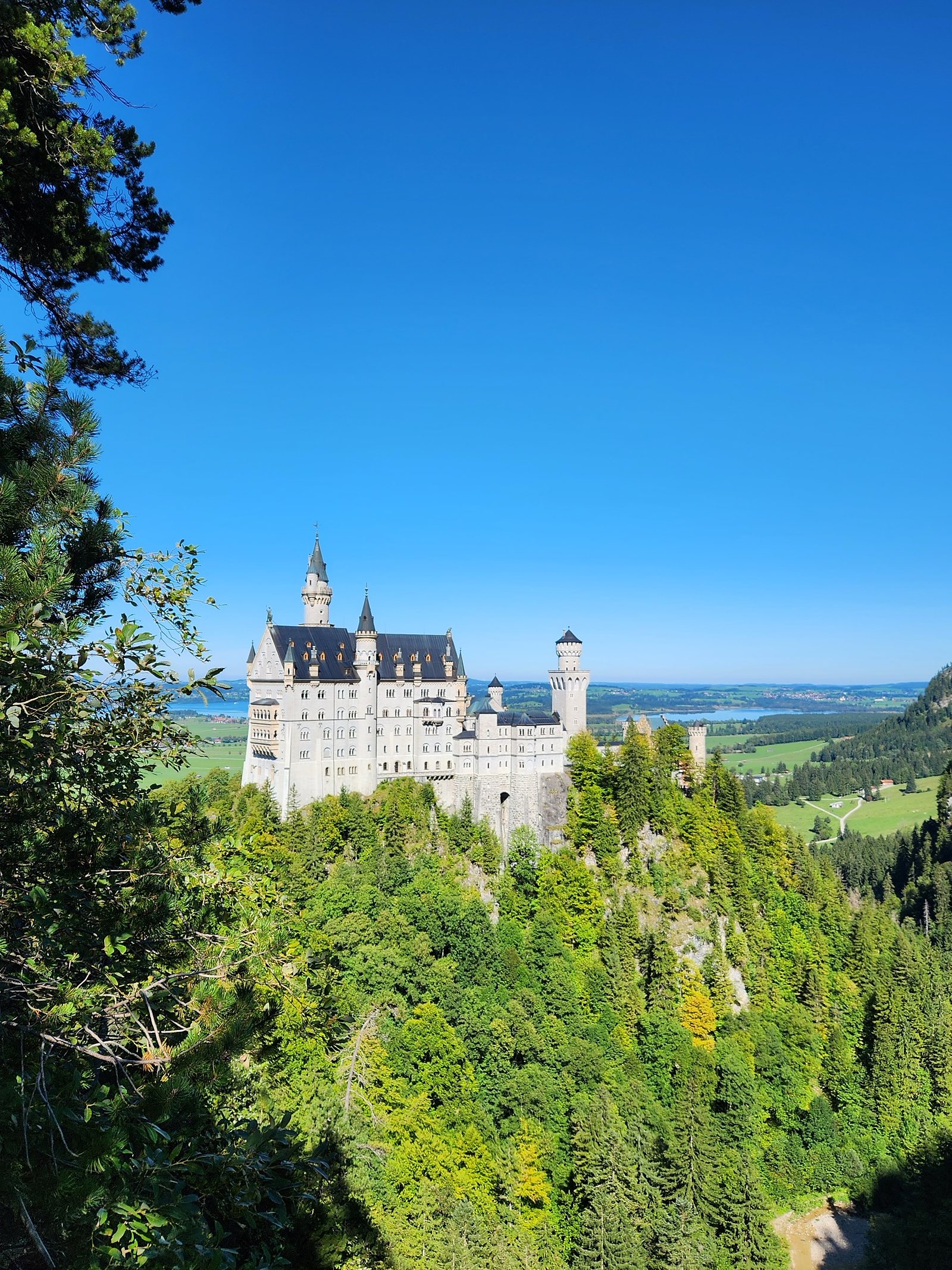 Neuschwanstein Castle