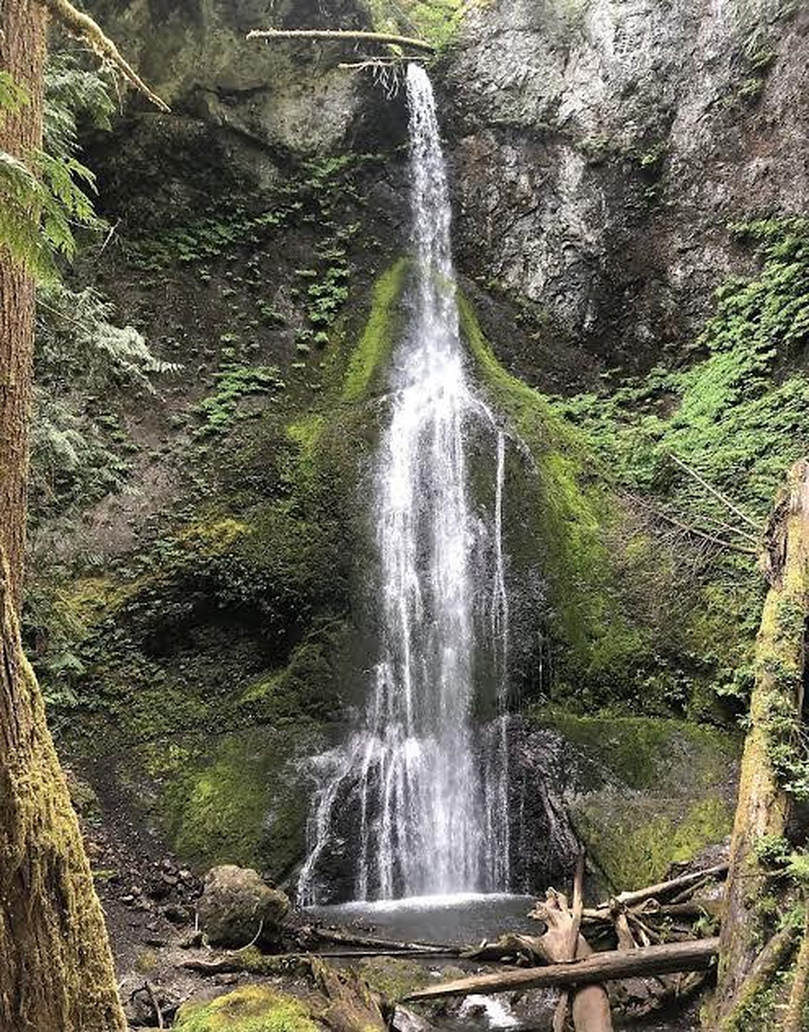 null Why Patience Pays Off to Unlock the Best of the Pacific Northwest, photo 18
