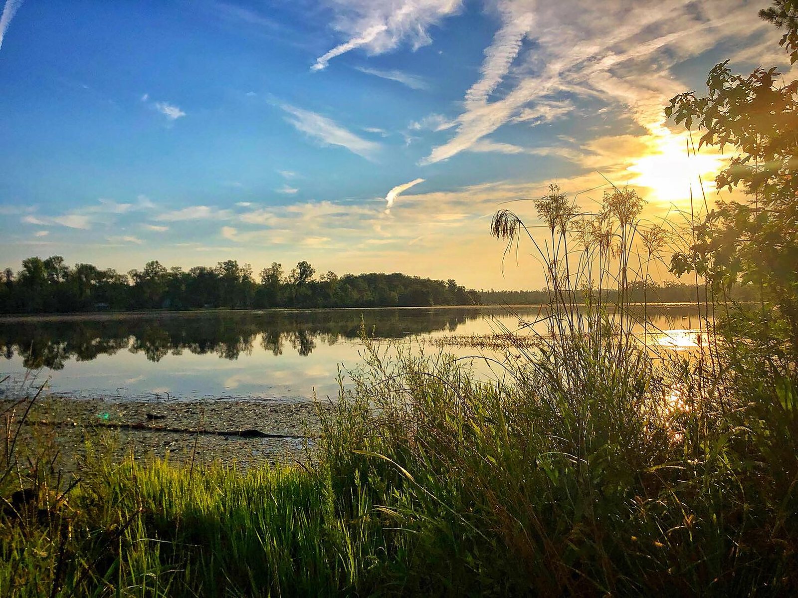 Congaree National Park 