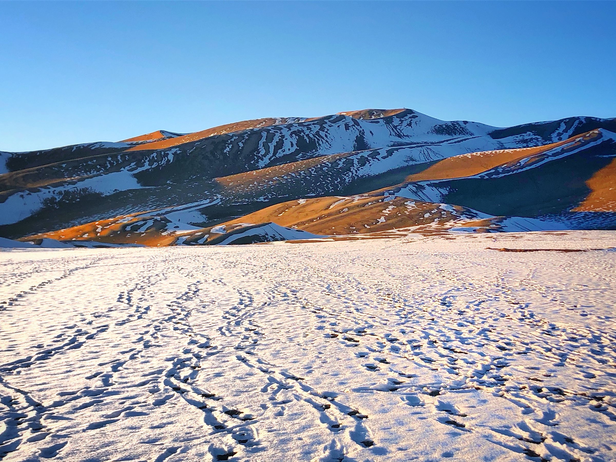 Great Sand Dunes National Park 