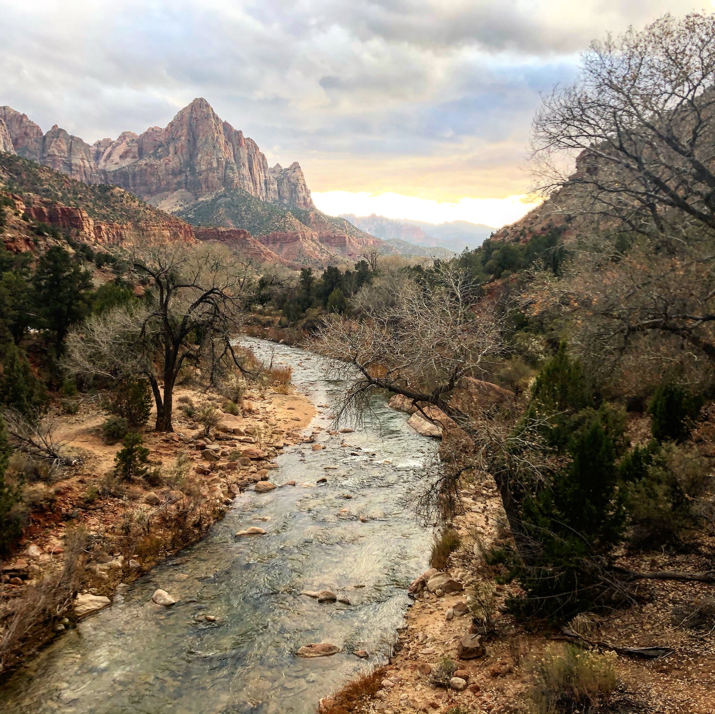Zion National Park 