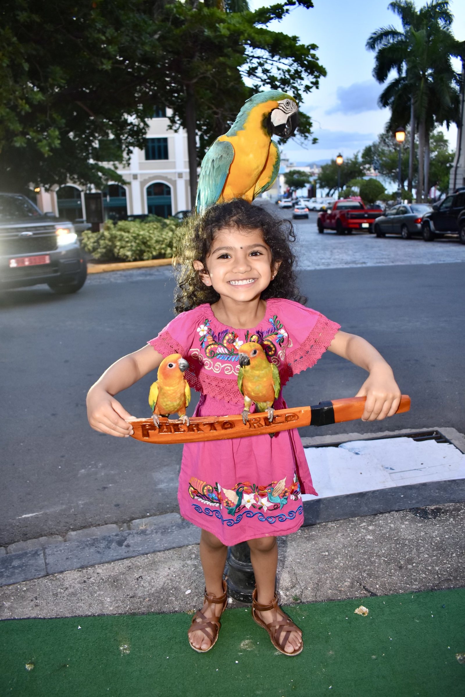 How to Spend 4 Days in Puerto Rico, photo 4