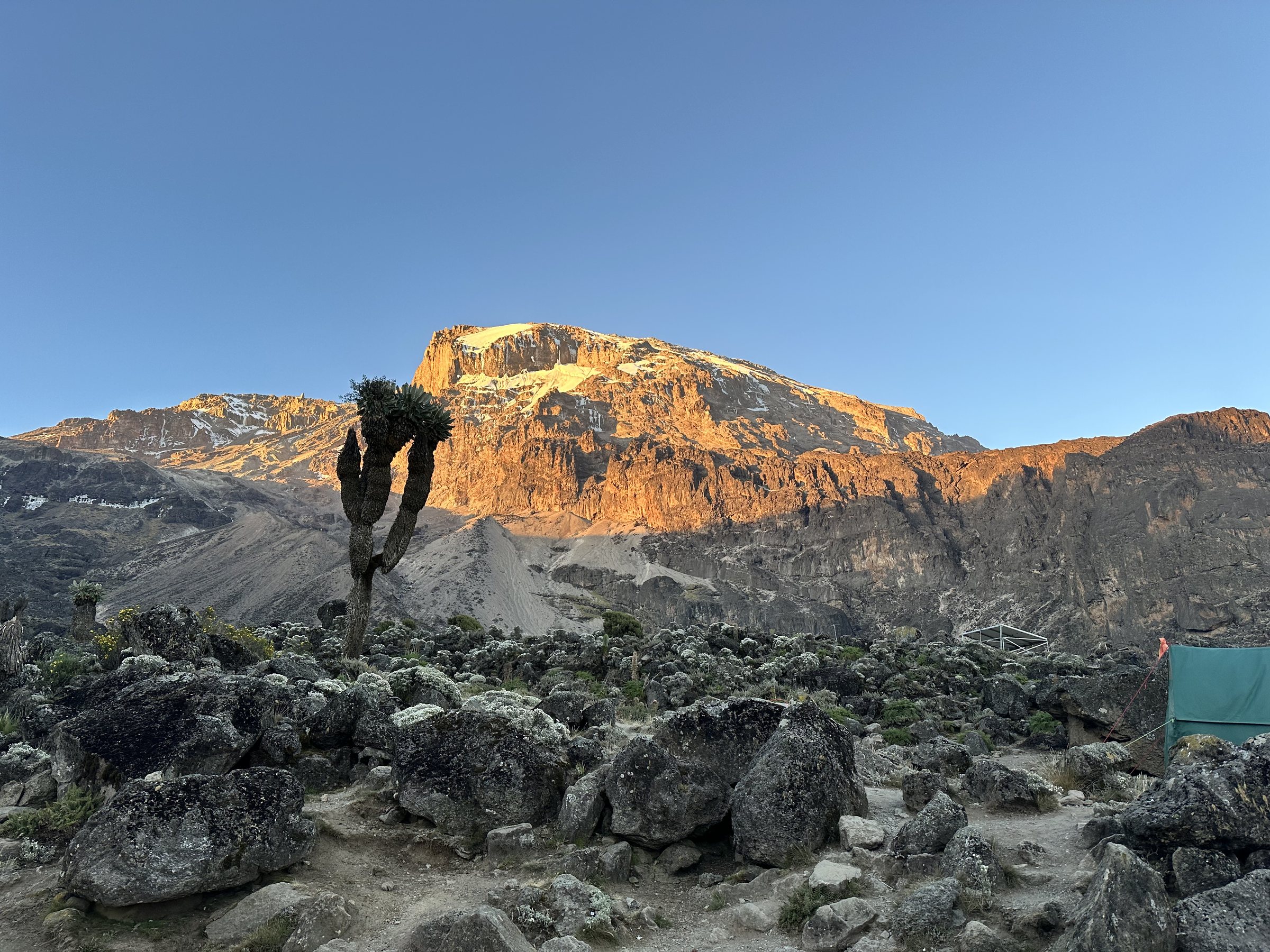 My Journey to the Roof of Africa, photo 2