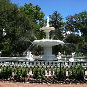 savannah forsyth park