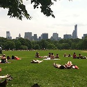 My 12 Favorite Things About NYC, photo 12