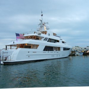 What I Learned About Gratitude Searching For Dolphins in Key West, photo 27