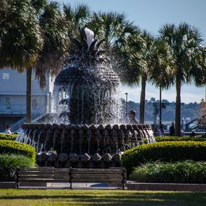 Charleston: Top Picks for a Weekend Getaway to the Walled City, photo 17