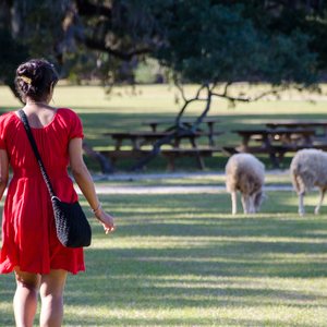 Charleston: Top Picks for a Weekend Getaway to the Walled City, photo 10