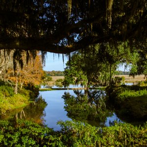 Charleston: Top Picks for a Weekend Getaway to the Walled City, photo 9